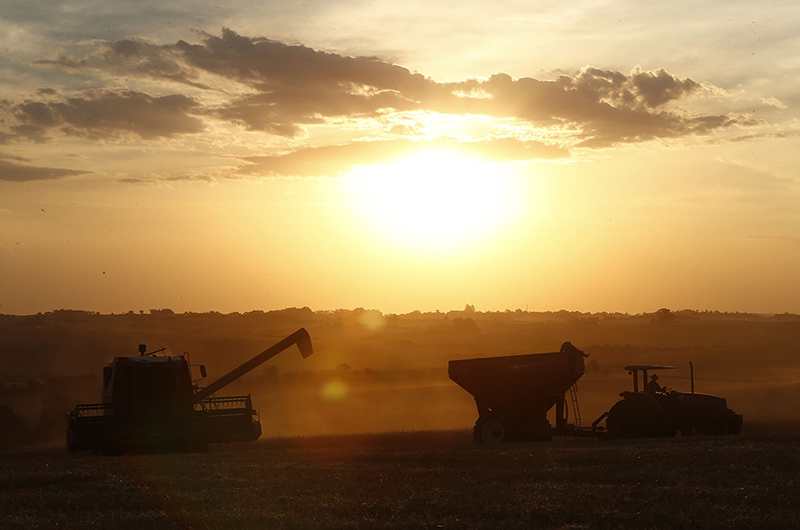 Colheita de inverno abre espaço para o plantio de verão, que segue até dezembro nos estados do Sul | Hugo Harada/ Gazeta Do Povo