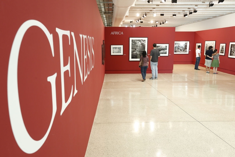 Exposição é resultado de oito anos de trabalho do fotógrafo | Hugo Harada/Gazeta do Povo