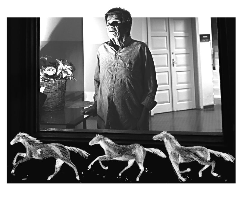 | Foto: Albari Rosa / Arte: Felipe Lima / Gazeta do Povo