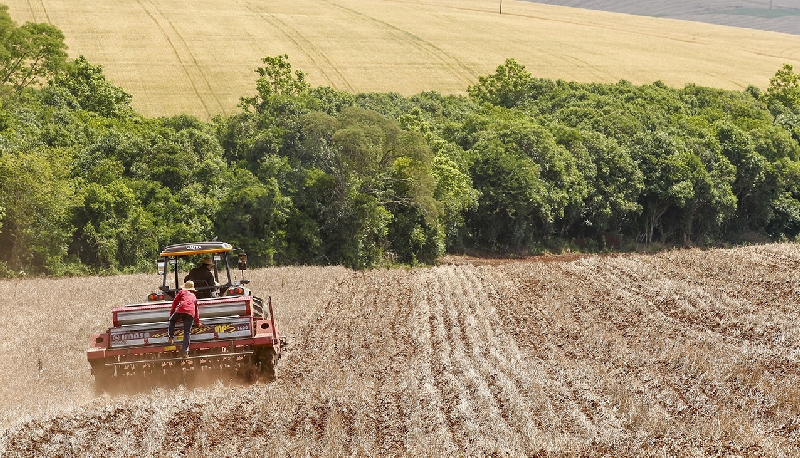 Cultivo regional de soja cresce concentrado no Brasil, Argentina, Paraguai, Bolívia e Uruguai | Hugo Harada/gazeta Do Povo