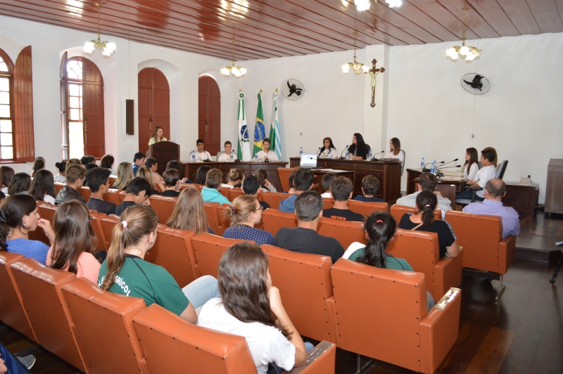 | Câmara de Palmeira