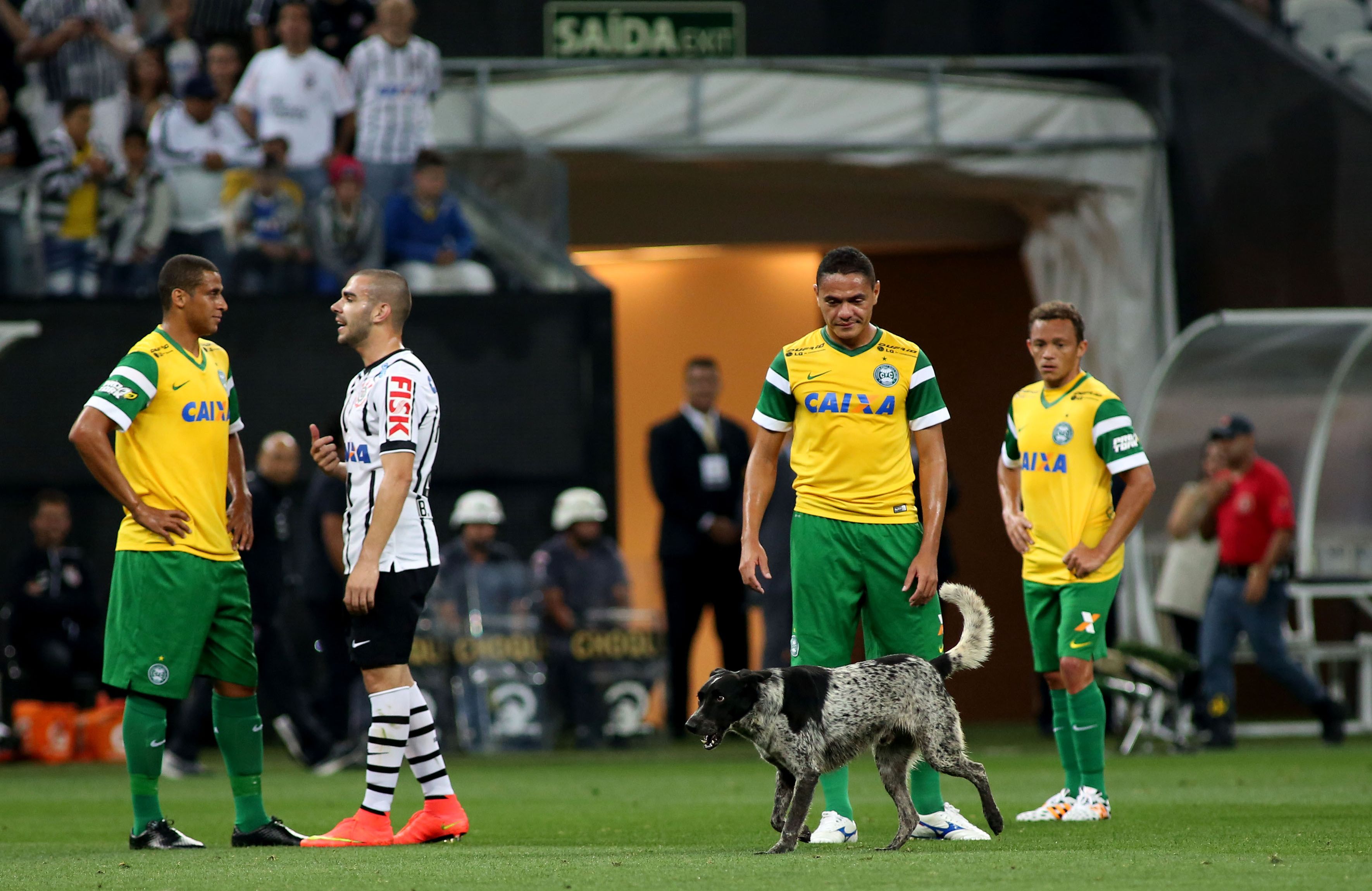 Um cachorro entrou em campo e o jogo em Itaquera chegou a ficar parado por alguns minutos. | Luís Moura/ Folhapress