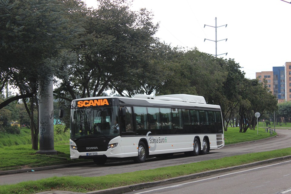 | Divulgação