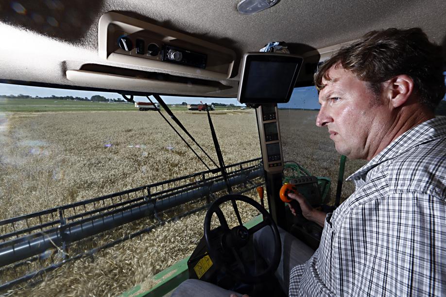 Clima está bom só para a colheita do trigo. Região torce por chuva em uma semana para preservar potencial da soja e do milho. | Foto: Albari Rosa/gazeta Do Povo