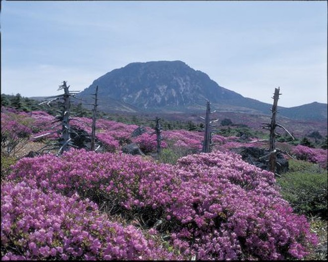 Ilha Jeju: na Coreia do Sul |