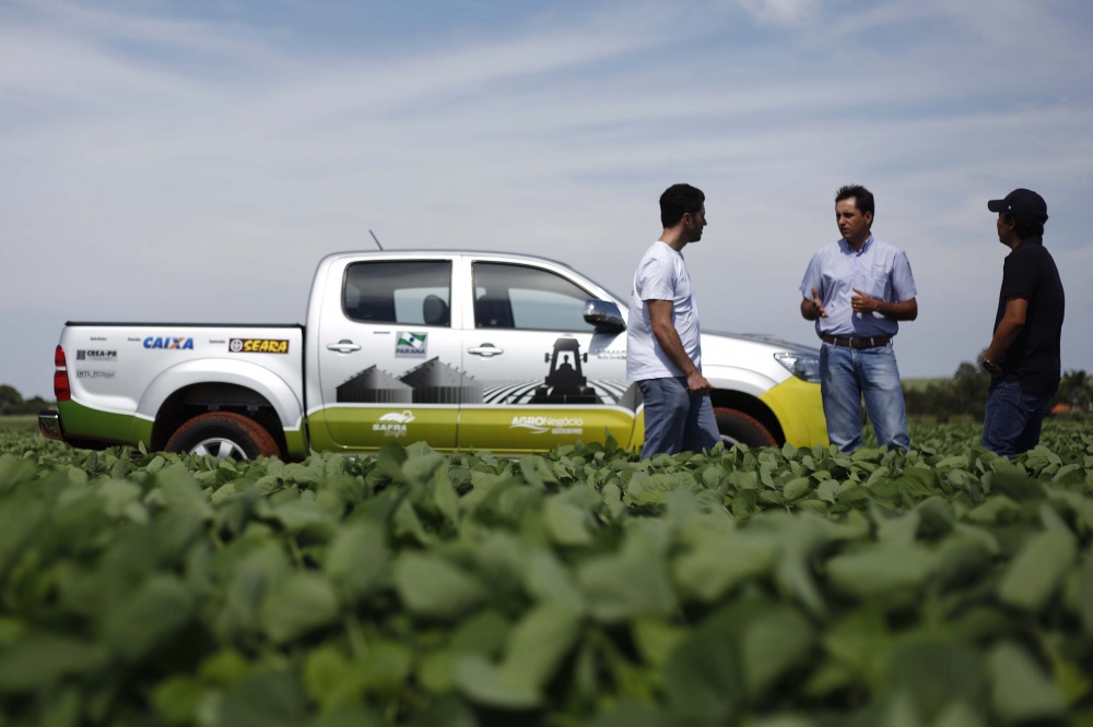 Soja plantada após o veranico recebe umidade suficiente para desenvolvimento vegetativo e florescimento. | Foto: Jonathan Campos/gazeta Do Povo