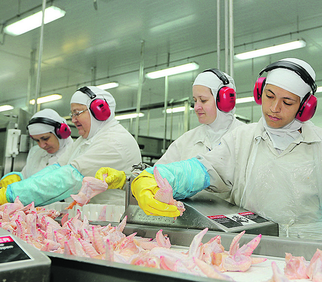 Indústria busca sustentabilidade com novos mercados | 