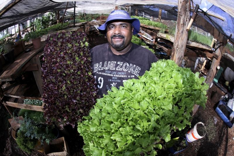 Rildo Casé mostra as vistosas hortaliças produzidas no local sem o uso de defensivos industrializados | Ivan Amorin/Gazeta do Povo