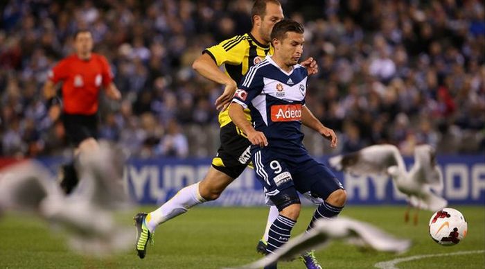 Jogadores do Melbourne Victory e Wellington Phoenix tiveram de driblas as gaivotas em jogo na Austrália |