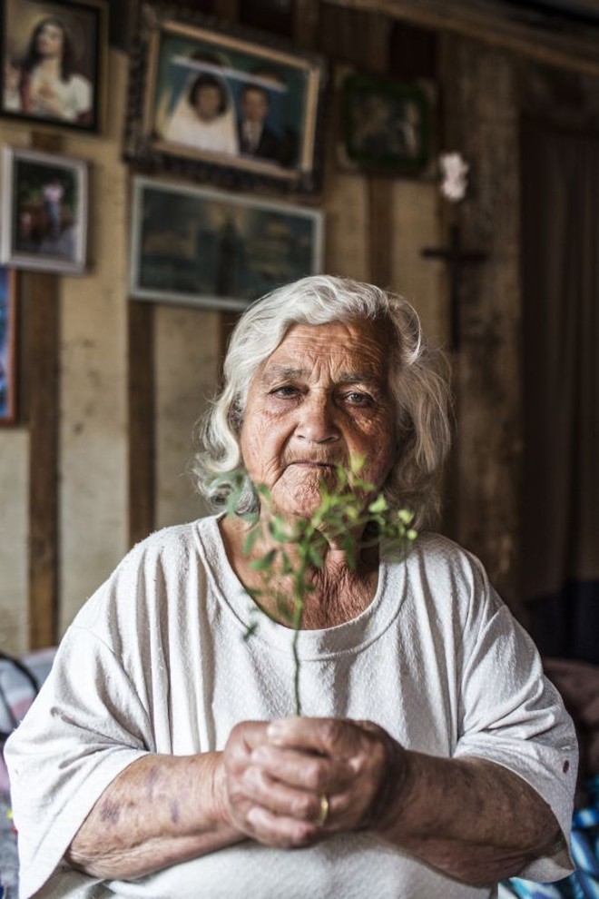 A arruda é uma das ervas usadas por dona Dorva em suas rezas | 