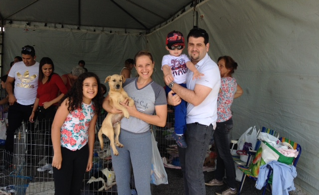 Juliana Soares e Michel Safadi levaram o filho Lucca à feira Amigo Bicho para escolher um cãozinho. No colo de Juliana, Quincas, o novo membro da família | Flávia Schiochet/Gazeta do Povo