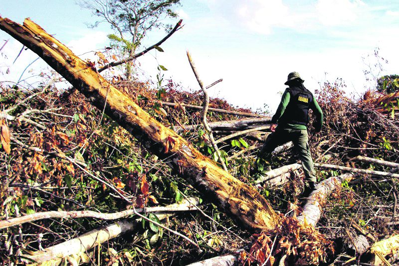 Entre 1996 e 2005, o país desmatou 210 mil km² da Amazônia | Herbert Rondon/Ibama