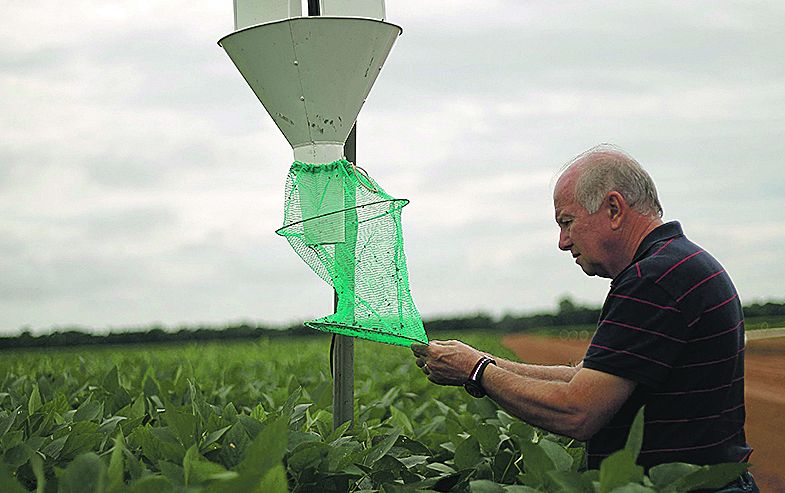 Após sair do Paraná, Argino Bedin expandiu negócio e hoje cultiva em 15,5 mil hectares na capital da soja | Jonathan Campos/gazeta Do Povo