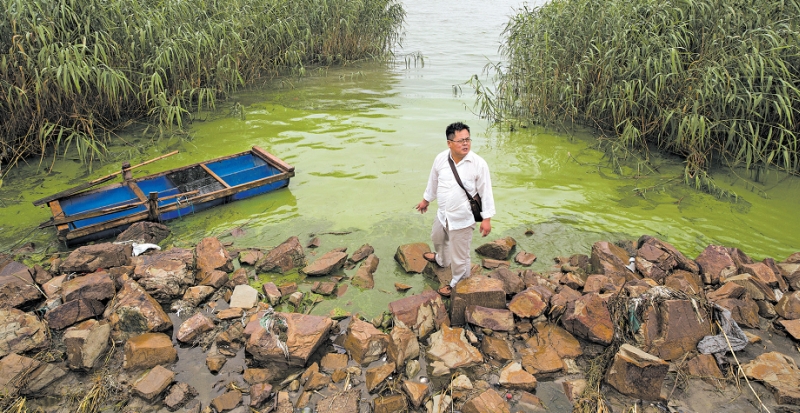 Se você pular nessa água, perde metade da pele, lamenta Wu Lihong, na margem o Lago Tai, extremamente poluído |