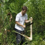 Vitor Paolineti produz pupunha na sua propriedade de 14 hectares em Morretes, no litoral. | Jonathan Campos