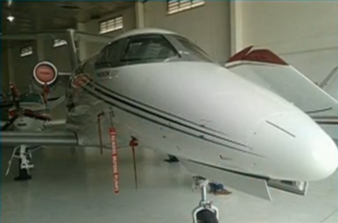 Animais estavam no trem de pouso do jatinho |