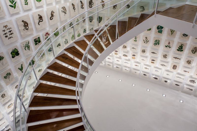 Escadaria do Espaço Olavo Setubal, novo museu do centro de São Paulo, é cercada por retratos naturalistas | André Seiti/Divulgação