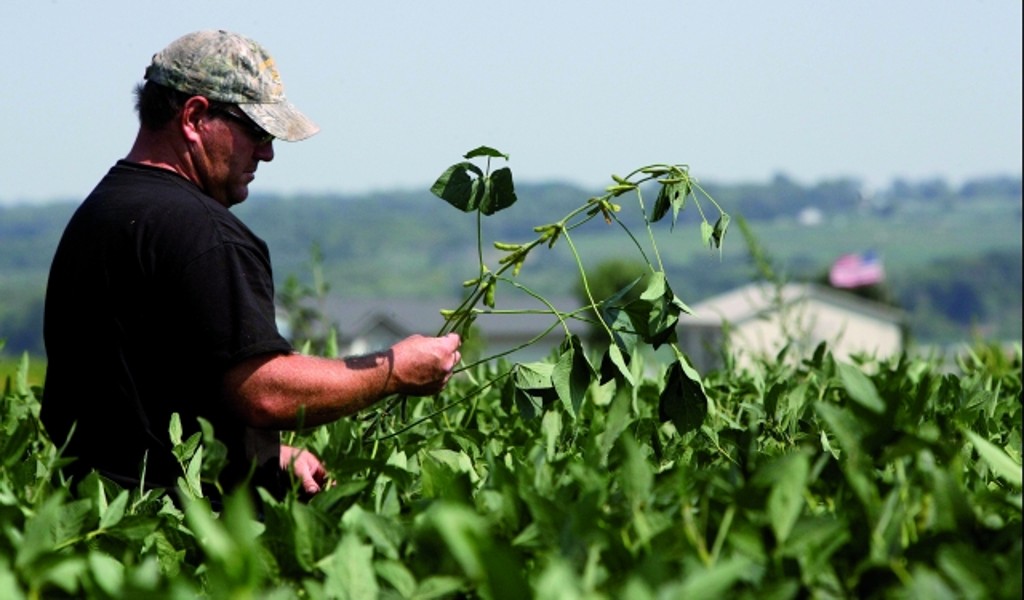 O produtor Matt McGinnis, em Indianola (EUA). Salto na produção norte-americana impõe desafio à agricultura brasileira
