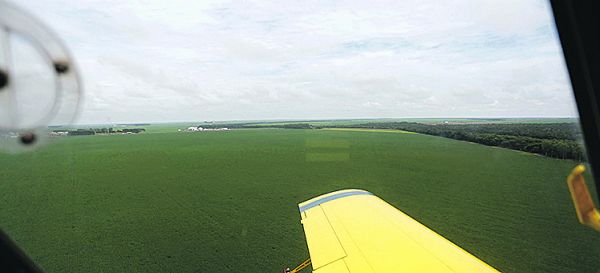 | Jonathan Campos/gazeta Do Povo