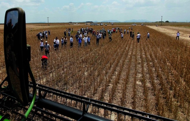 Agricultores participam de evento técnico em Roraima: lavoura em expansão |