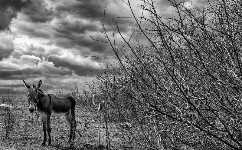  | Marcelo Andrade/Gazeta do Povo