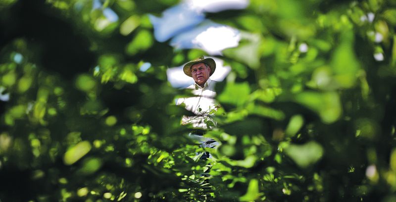 O Grupo Nova Mutum, onde trabalha Luiz Divino, investe R$ 15 milhões para elevar a capacidade de armazenagem em 80%. Além da própria produção, empresa visa prestar serviço a terceiros | Jonathan Campos/gazeta Do Povo