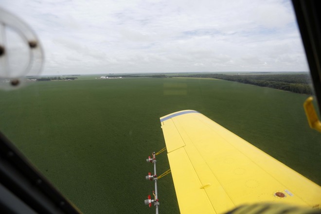 Lavouras ainda verdes em Sorriso, capital brasileira da soja. Maior porção das lavouras está atrasada também no Brasil. | Foto: Jonathan Campos/gazeta Do Povo