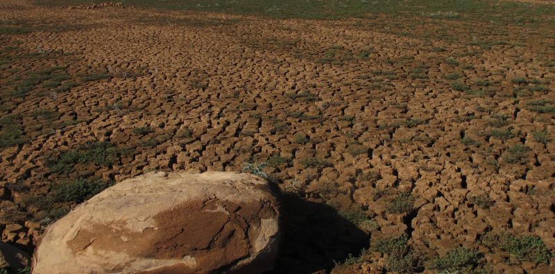 Parte seca da represa do Jaguari, em Vargem (SP), que abastece o Sistema Cantareira | Fernanda Carvalho/Fotos Públicas