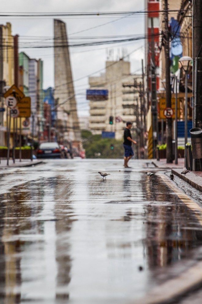Vista da Riachuelo, um dicionário de estilos arquitetônicos | 