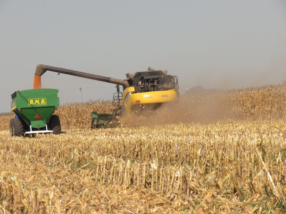 Colheita de inverno ainda não foi totalmente escoada. Safra de verão perde valor com pressão sobre as cotações. | Foto: Josa© Rocher/gazeta Do Povo