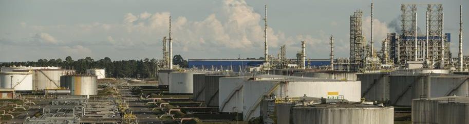 | Marcelo Andrade / Gazeta do Povo