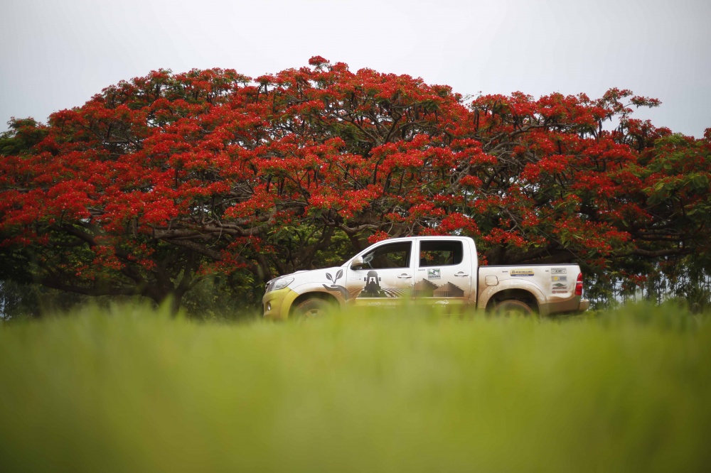 No topo da Serra da Petrovina, equipe encerrou viagem pelo estado que lidera produção de soja no Brasil. | Fotos: Jonathan Campos/gazeta Do Povo