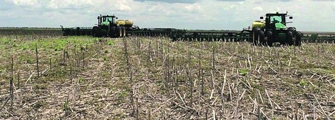 Máquinas foram aceleradas depois que a chuva chegou. Apesar de pausa, plantio ficou concentrado |