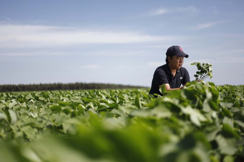 Victor Kondan, de Naviraí , espera ampliar colheita neste ano | Jonathan Campos / Gazeta Do Povo