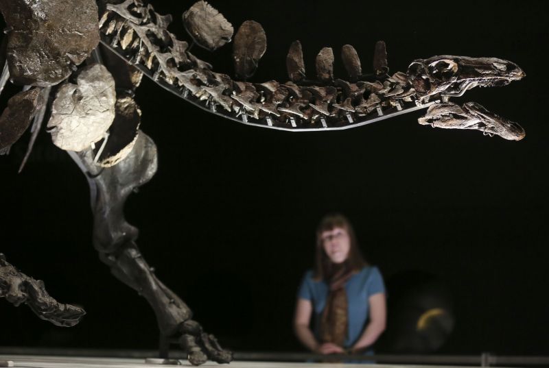 Estegossauro que será exibido no Museu de História Nacional de Londres | Paul Hackett/Reuters