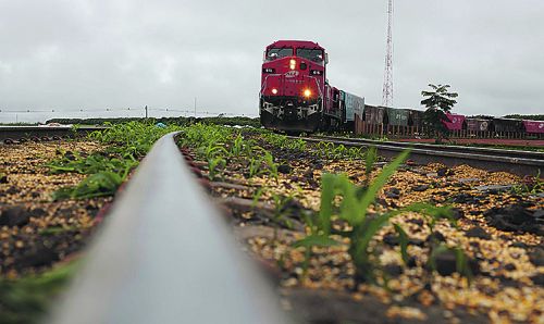 | Jonathan Campos/gazeta Do Povo