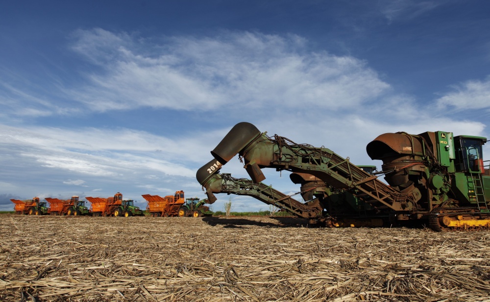 Plantio de cana em Mato Grosso do Sul. Setor espera mudanças na política nacional para definir expansão da atividade. | Foto: Jonathan Campos/gazeta Do Povo