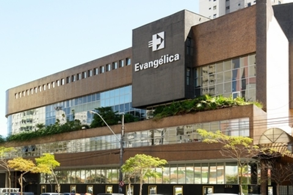 | Divulgação