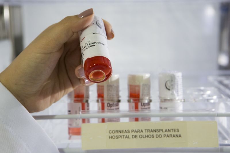 Falta de agilidade na identificação de mortes cerebrais atrapalha a obtenção de possíveis doadores | Brunno Covello/Gazeta do Povo