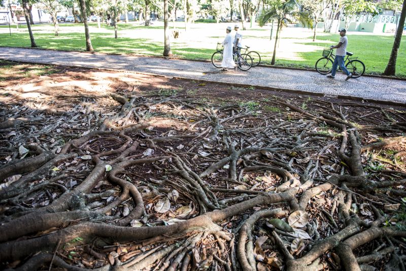 Muçulmanos caminham pelas ruas da germânica Marechal Cândido Rondon: diversidade cultural no Oeste do Paraná | Henry Milleo/Gazeta do Povo