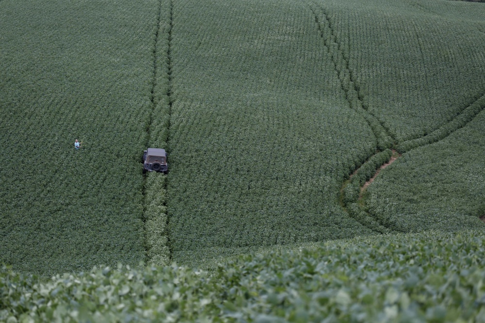 Produtor Irapuã Kiel espera retirar 4 mil quilos por hectare de soja | Jonathan Campos