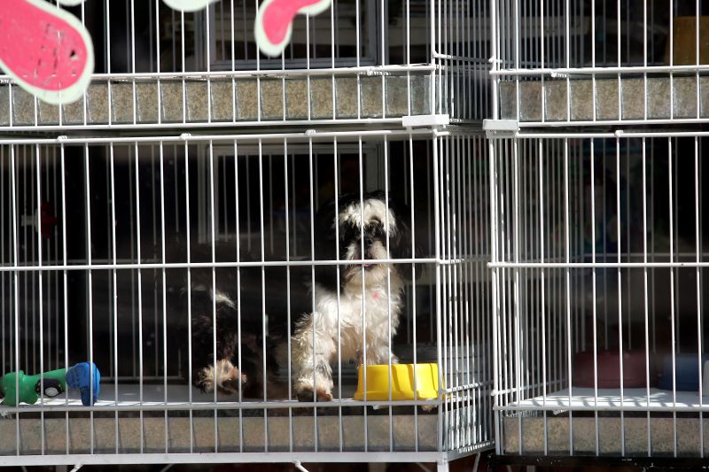 | Roberto Custódio/Jornal de Londrina