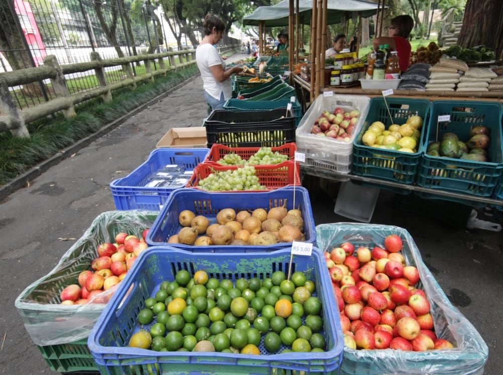 Alimentos distribuídos no mercado interno também são destinados à exportação. | Foto: Aniele Nascimento/gazeta Do Povo