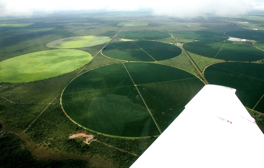 Produtividade faz imóveis gigantes escaparem da definição de improdutivos. | Foto: Hugo Harada/gazeta Do Povo