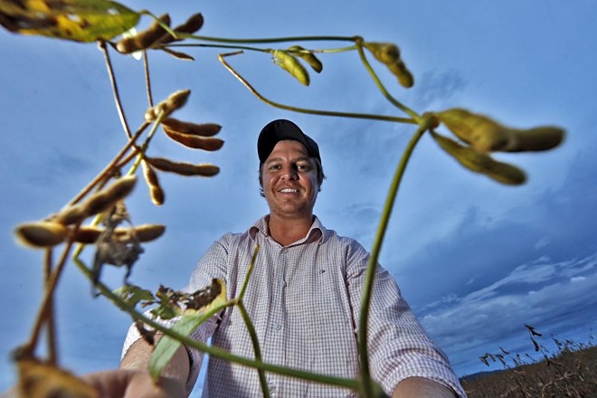 Rodrigo Martins teve de replantar, mas garantiu colheita de 52 sacas por hectare em área que prometia menos. |