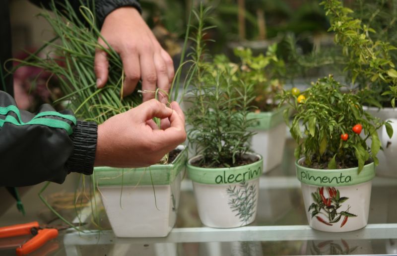 | Aniele Nascimento/ Gazeta do Povo