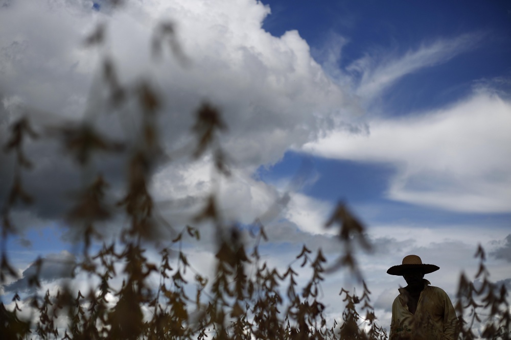 Falta de água pode comprometer produtividade das lavouras paulistas | Jonathan Campos