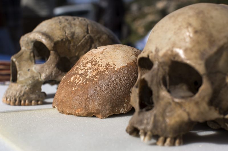 Crânio encontrado em Israel é nova pista sobre encontro de humanos e neandertais | Jim Hollander/Efe
