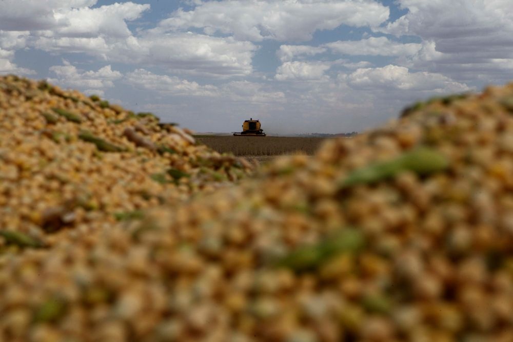 Produtividade no arranque das máquinas decepciona no Paraná mas fica acima da média nacional em Mato Grosso. | Foto: Jonathan Campos/gazeta Do Povo