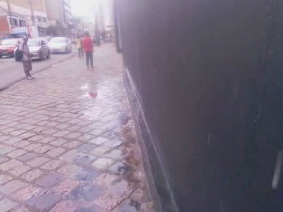  | Reprodução